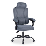 Ergonomic Office Computer Mesh Chair with High Back Adaptive Lumbar Support and 2D Adjustable Headrest