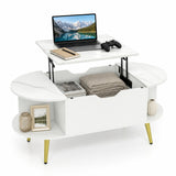 Faux Marble Lift Top Coffee Table with Hidden Compartment and Shelves
