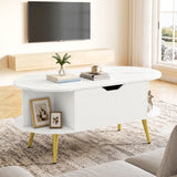Faux Marble Lift Top Coffee Table with Hidden Compartment and Shelves
