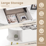 Faux Marble Lift Top Coffee Table with Hidden Compartment and Shelves