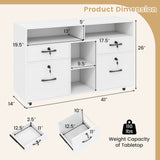 File Cabinet with Lock Mobile Lateral Filing Storage Organizer Modern Rolling Printer Stand