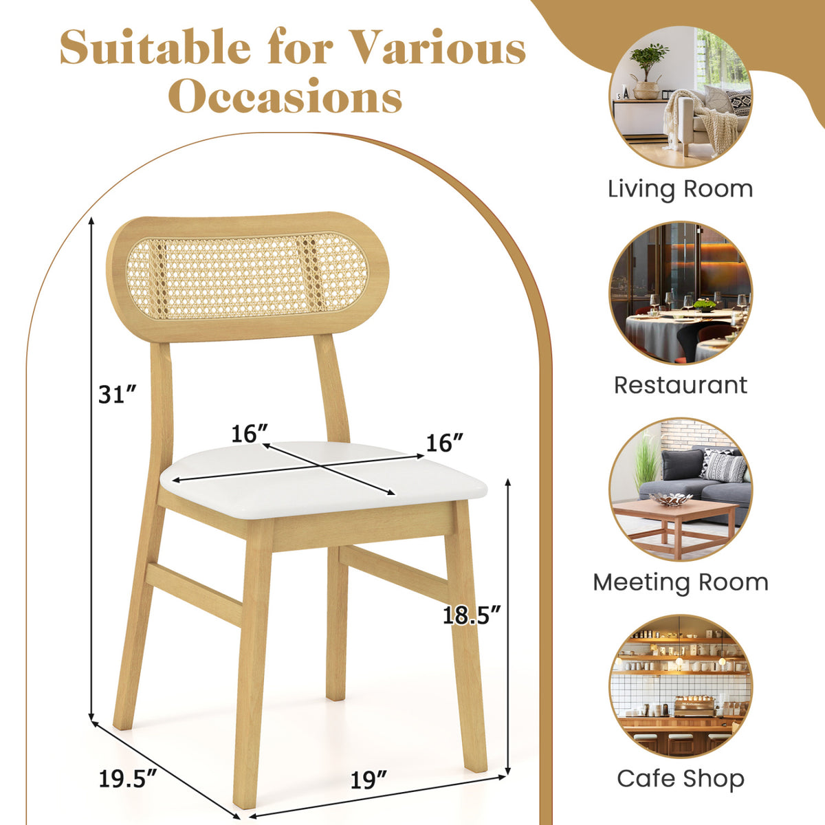 Indoor Mid Century Wood Dining Chairs Set of 2  for Dining Room