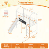 Kids Twin Size Loft Bed with Ladder and Slide for Bedroom