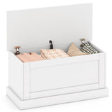 Large Storage Chest with Safety Metal Hinge