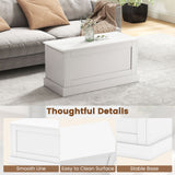 Large Storage Chest with Safety Metal Hinge