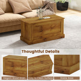 Large Storage Chest with Safety Metal Hinge