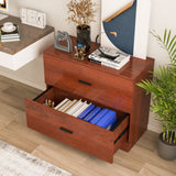 2-Drawer Lateral File Cabinet with Adjustable Bars for Home and Office