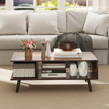 Mid Century Modern Rectangle Coffee Table 2-Tier Accent Table with 2 Open Compartments