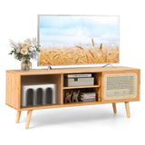 Modern TV Stand with Rattan Glass Sliding Doors