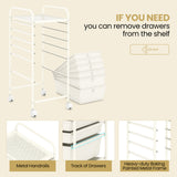 6 Drawers Rolling Storage Cart Organizer-Transparent