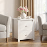 Nightstand with 2 Drawers & Storage for Bedroom Living Room Small Spaces