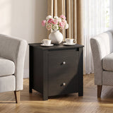 Nightstand with 2 Drawers & Storage for Bedroom Living Room Small Spaces