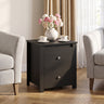 Nightstand with 2 Drawers & Storage for Bedroom Living Room Small Spaces