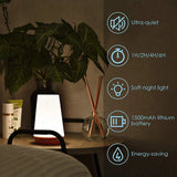 13 Color LED Changing Night Light RGB Remote Control Touch Dimmable Lamp Portable Table Bedside Lamp USB Rechargeable Night Lamp