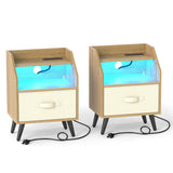 Set Of 2 Nightstands with LED Lights and Power Outlets for Living Room