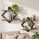 Set of 2 Metal Floating Shelves for Wall with Geometric Frame