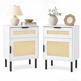 Set of 2 Rattan Nightstand with Drawer and Storage Cabinet for Bedroom Dorm