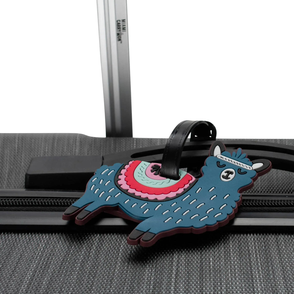 Novelty Collection Luggage Tags Set of 2