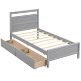 Twin Size Wooden Bed Frame with 2 Drawers for Teens and Adults