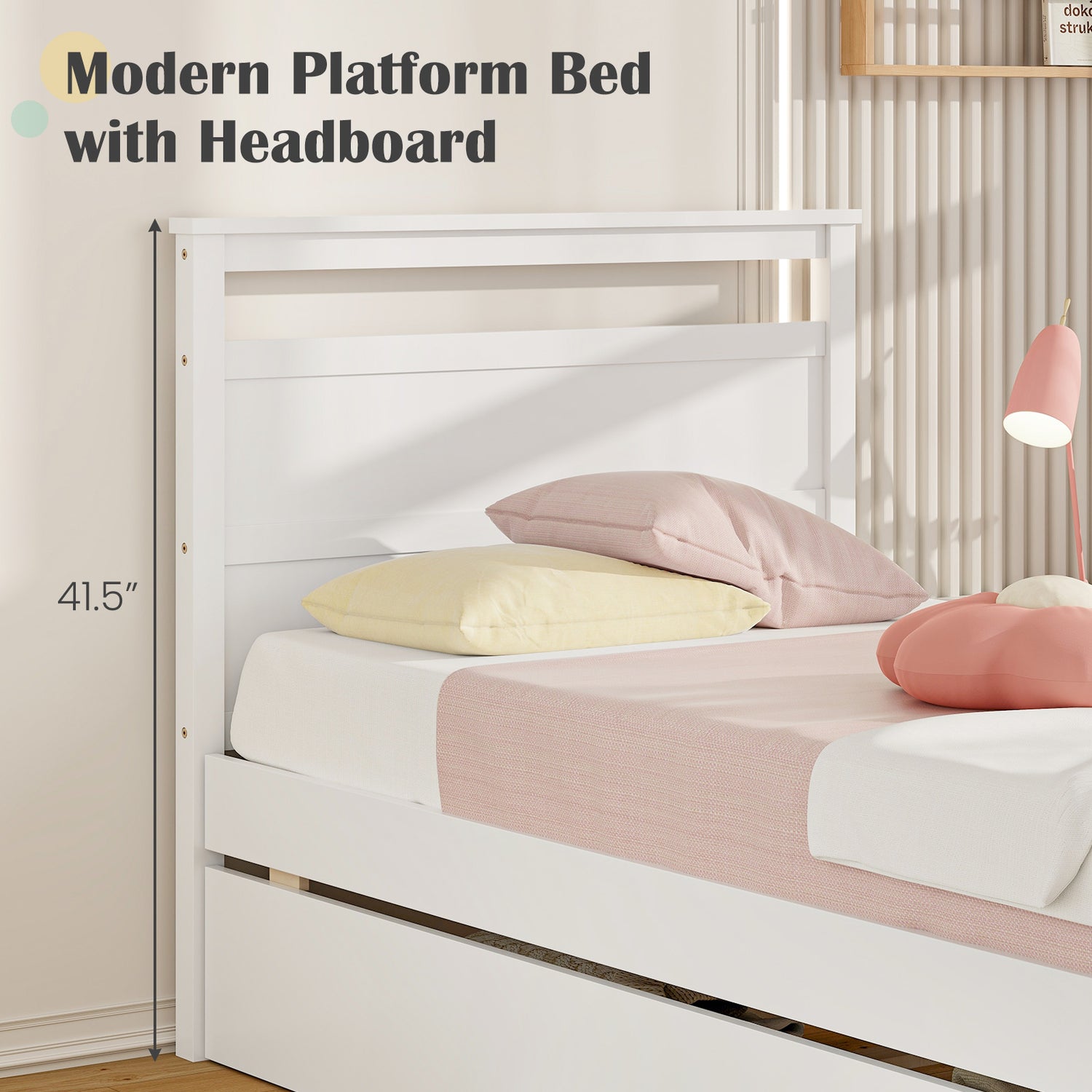 Twin Size Wooden Bed Frame with 2 Drawers for Teens and Adults