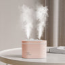 New USB Dual Spray Humidifier For Home Office