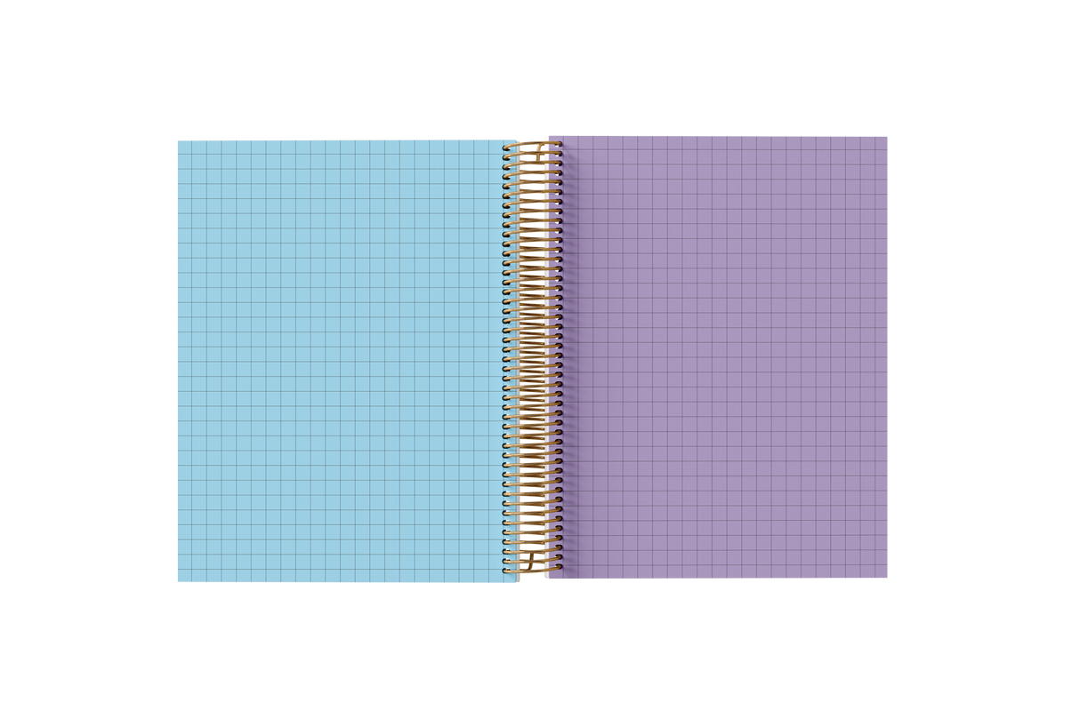 Graph Paper Holographic Notebook by BERTEAU & Co.