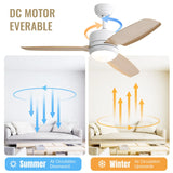 Ceiling Fans with Light with Reversible DC Motor and Adjustable Speed