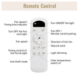 Ceiling Fans with Light with Reversible DC Motor and Adjustable Speed