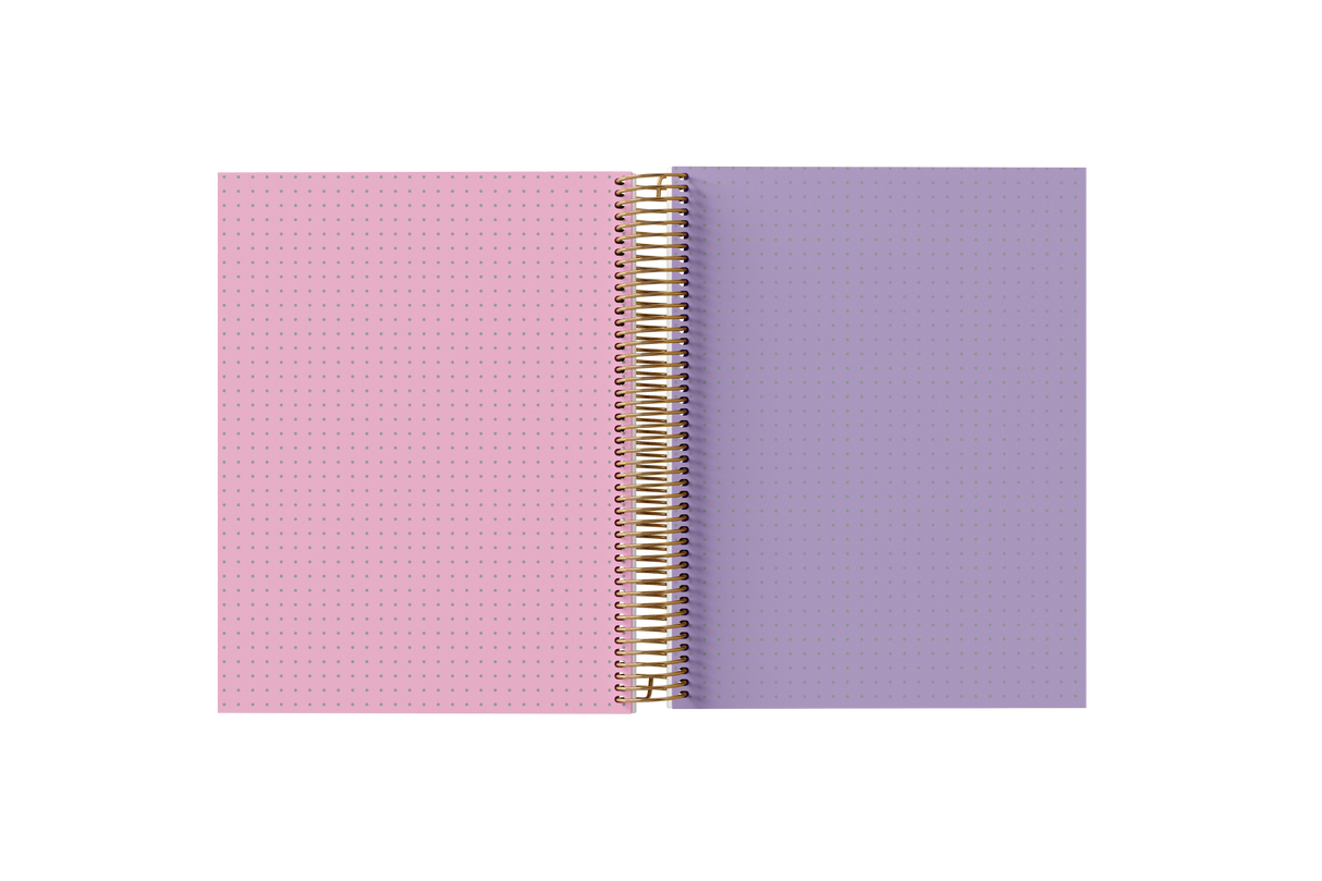 DOTTED Grid Paper Holographic Notebook by BERTEAU & Co.