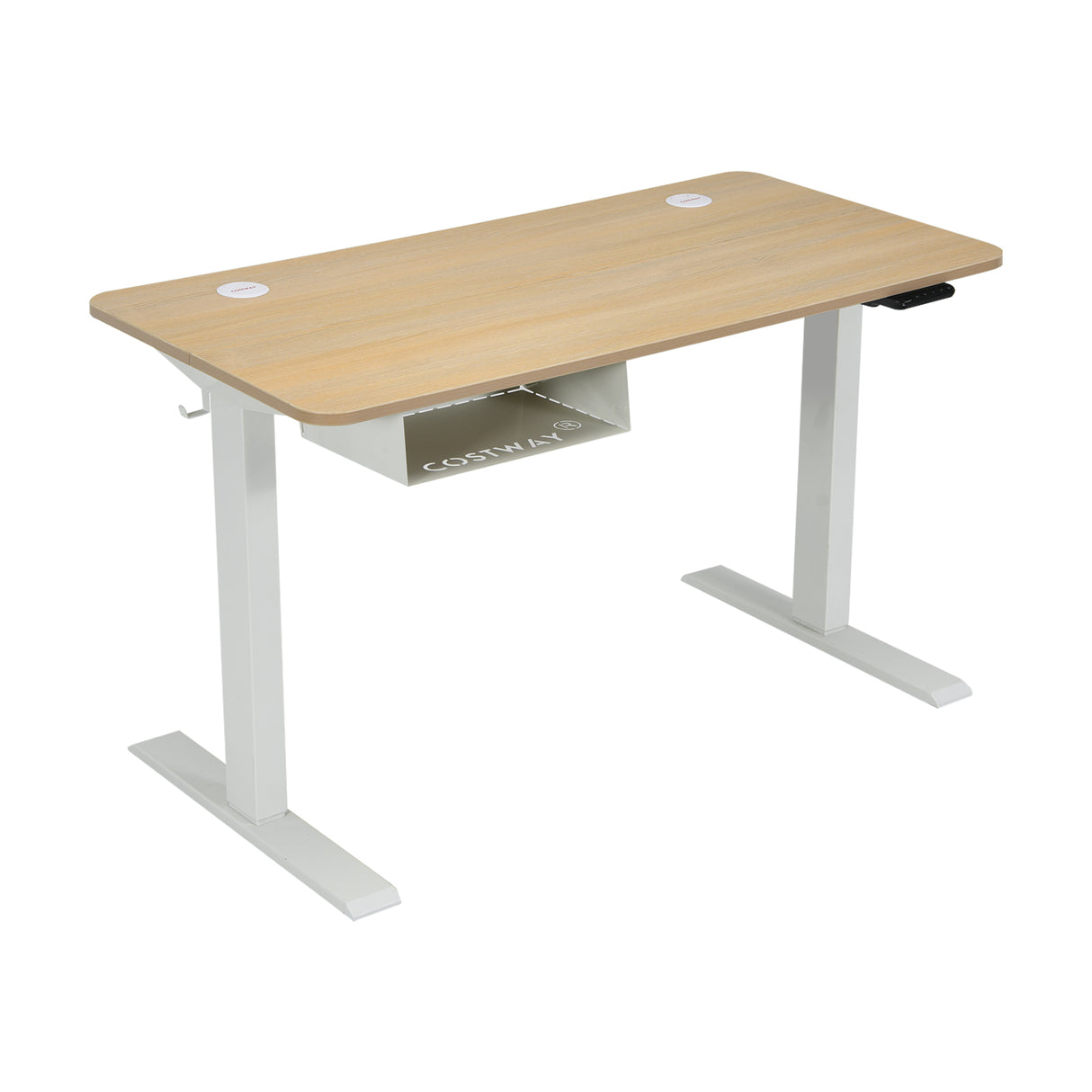 48 Inches Electric Standing Adjustable Desk with Control Panel and USB Port