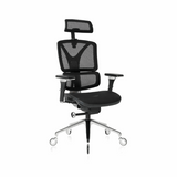 NOUHAUS ErgoPro Ergonomic Office Chair