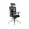 NOUHAUS ErgoPro Ergonomic Office Chair