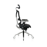 NOUHAUS ErgoPro Ergonomic Office Chair