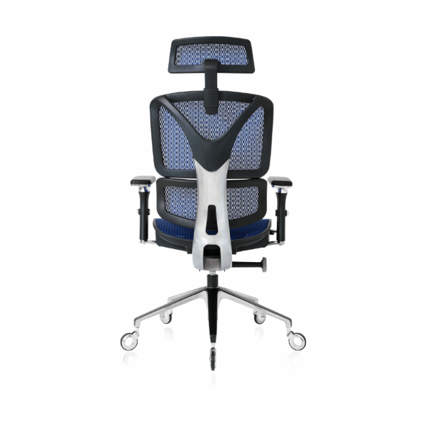 NOUHAUS ErgoPro Ergonomic Office Chair