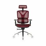 NOUHAUS ErgoPro Ergonomic Office Chair