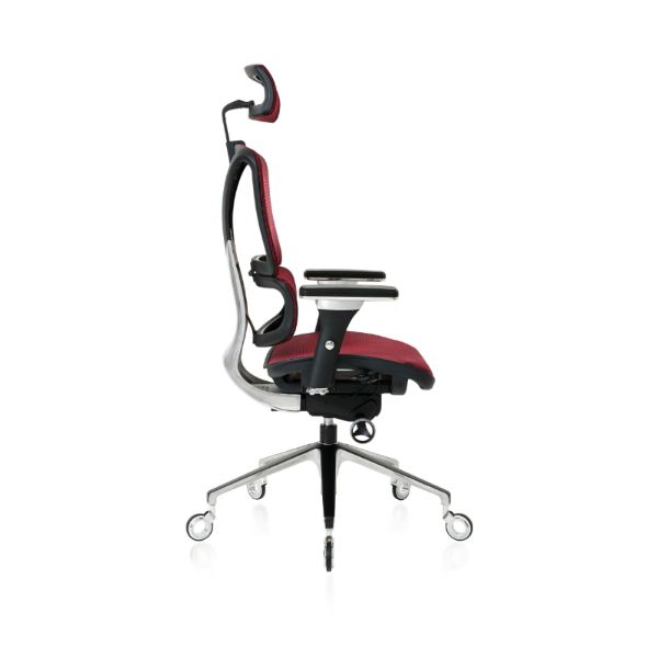 NOUHAUS ErgoPro Ergonomic Office Chair
