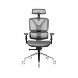 NOUHAUS ErgoPro Ergonomic Office Chair