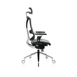 NOUHAUS ErgoPro Ergonomic Office Chair