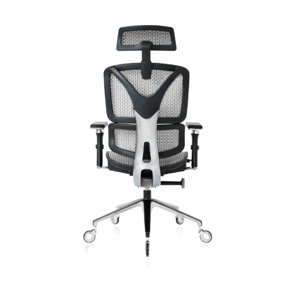 NOUHAUS ErgoPro Ergonomic Office Chair