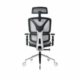 NOUHAUS ErgoPro Ergonomic Office Chair