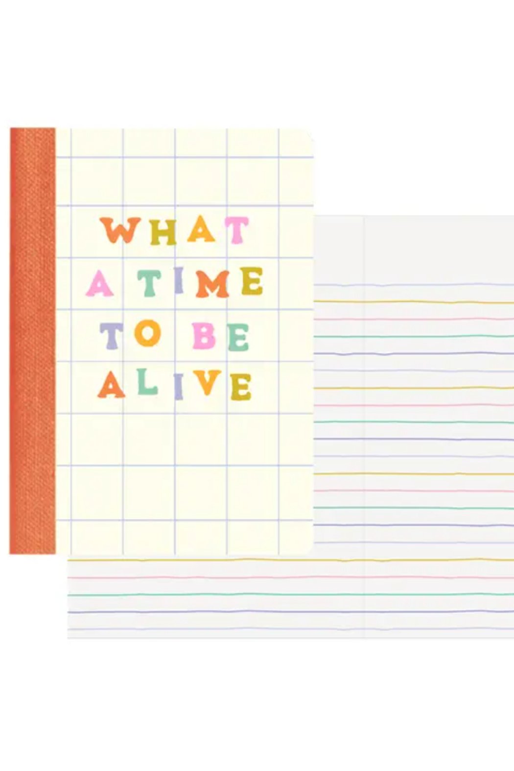 Mini Notebook Set - Delightful - Delightful