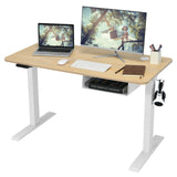 48 Inches Electric Standing Adjustable Desk with Control Panel and USB Port