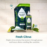 Dish Soap
