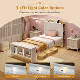 Twin Size Bed Frame with 2 USB Ports with Storage Headboard and Lights