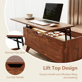 35.5" Lift Top Coffee Table with Hidden Compartment and Sliding Door for Living Room-Brown