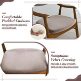 Wooden Dining Chair Set of 2 with Padded Seat and Back