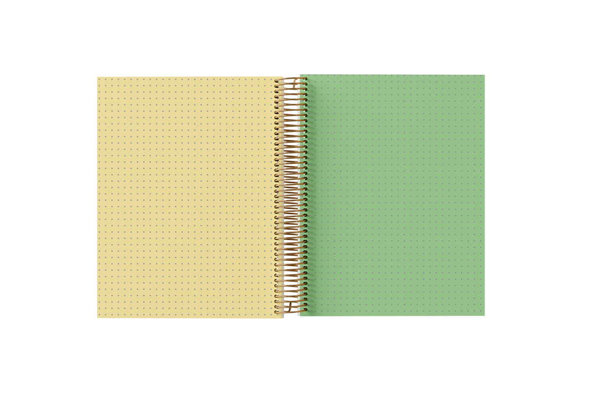 DOTTED Grid Paper Holographic Notebook by BERTEAU & Co.