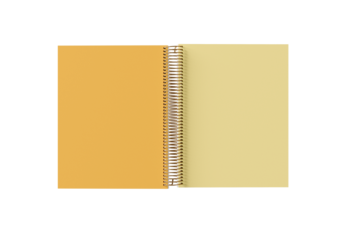 BLANK Paper Holographic Notebook by BERTEAU & Co.